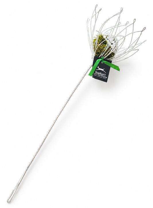 Wire Proteas