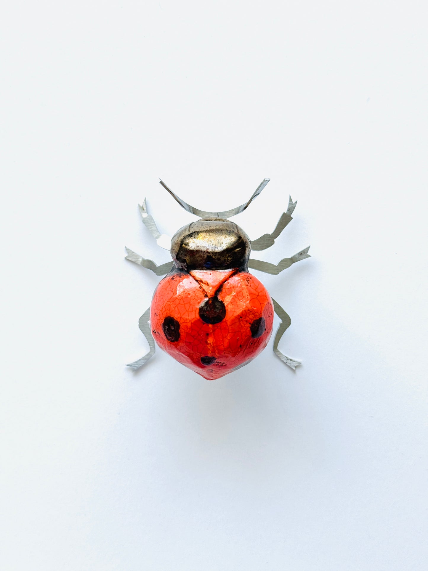 Beetles for Africa-Red