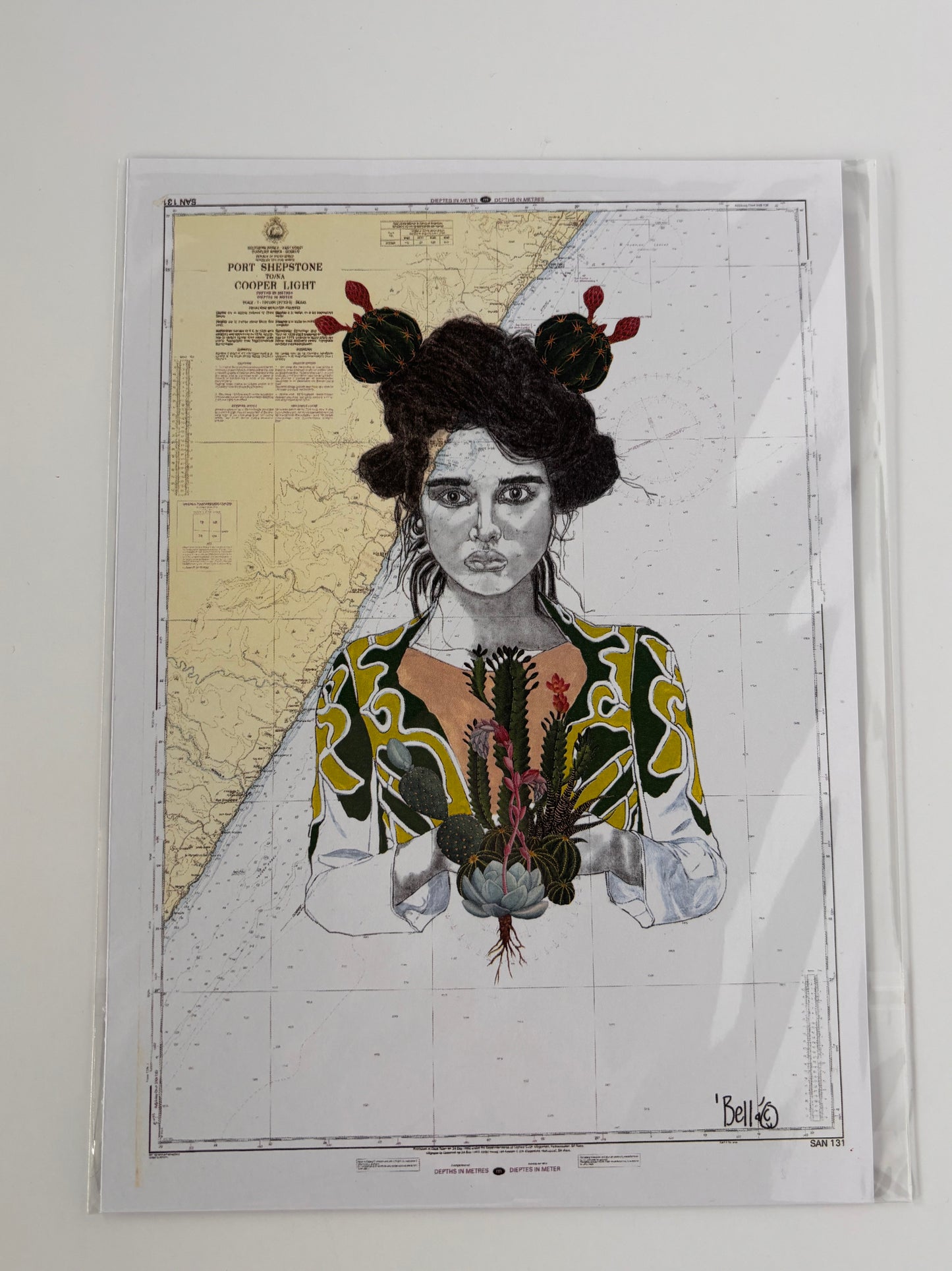 Bella-Adapting to the Environment