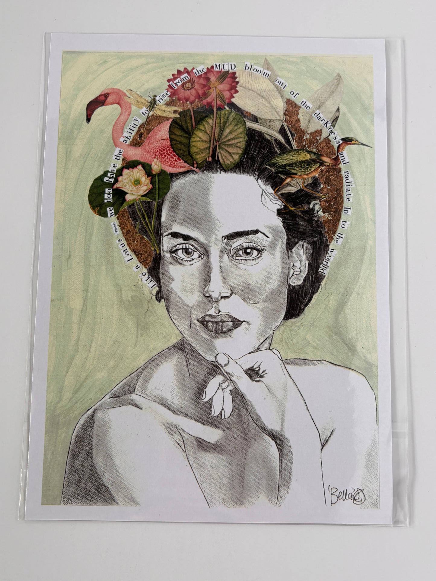 Bella-Like a Lotus Flower