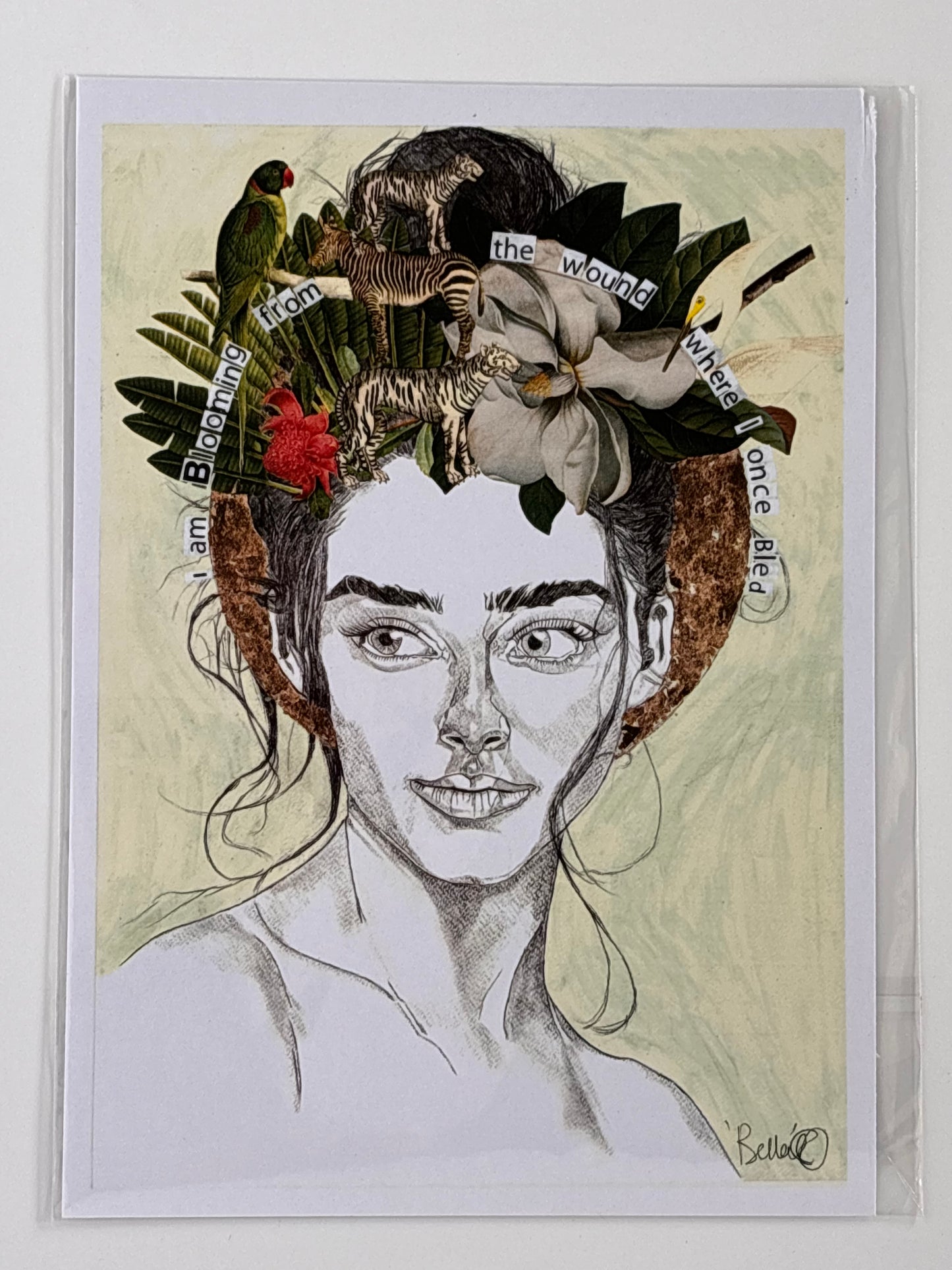 Bella-The Magnolia Flower