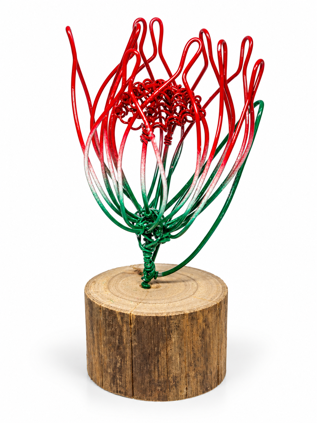 Oil Infuser