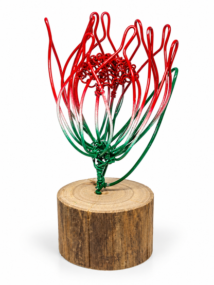 Oil Infuser