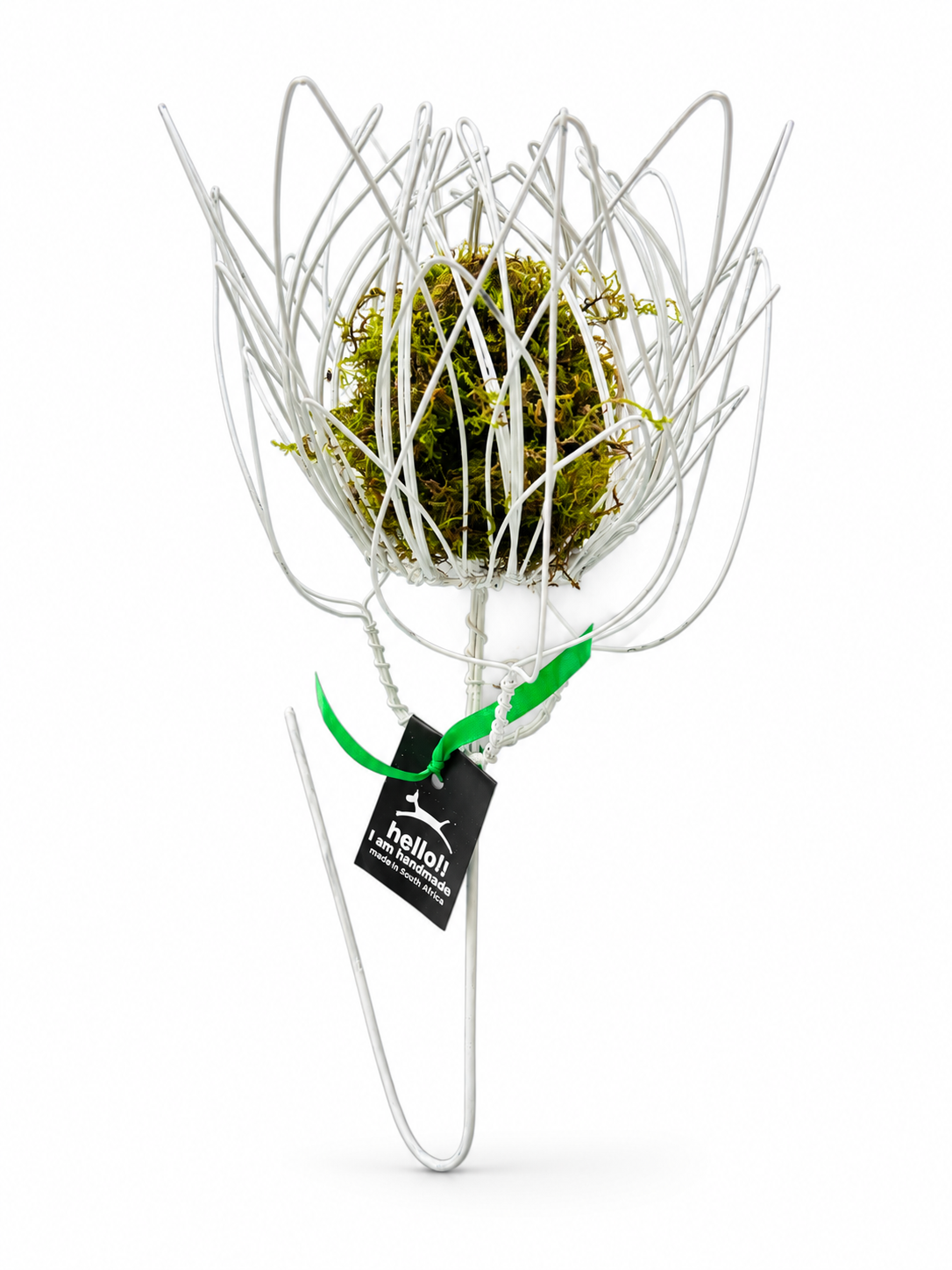 Wire Proteas