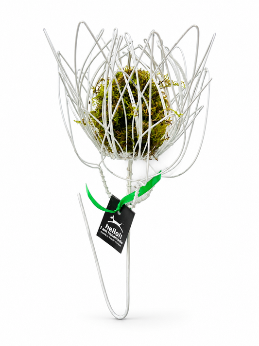 Wire Proteas