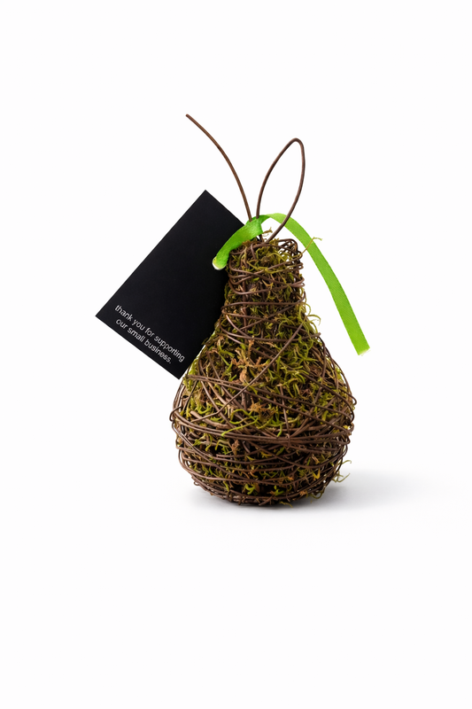 Oil Infuser