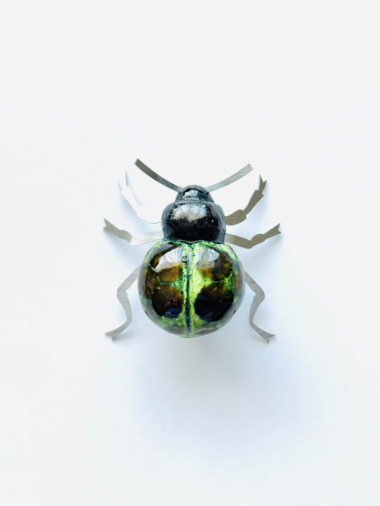 Beetles