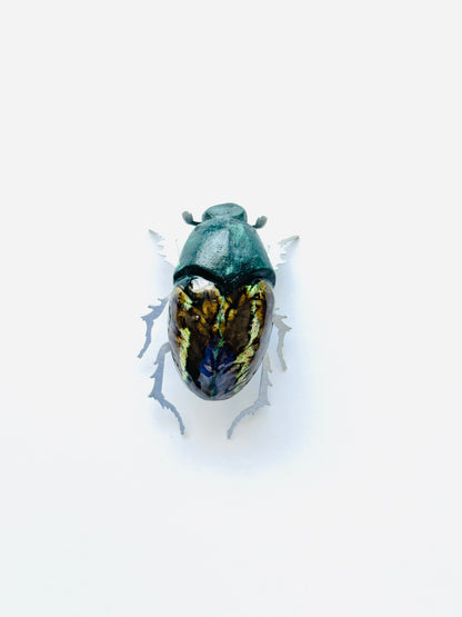 Beetles