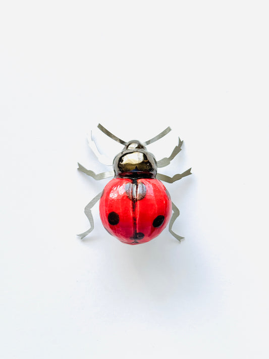Beetles for Africa-Red