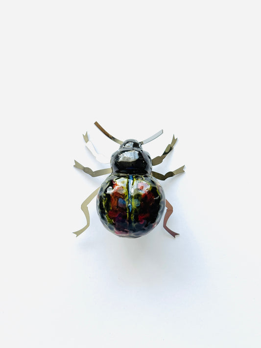 Beetles for Africa