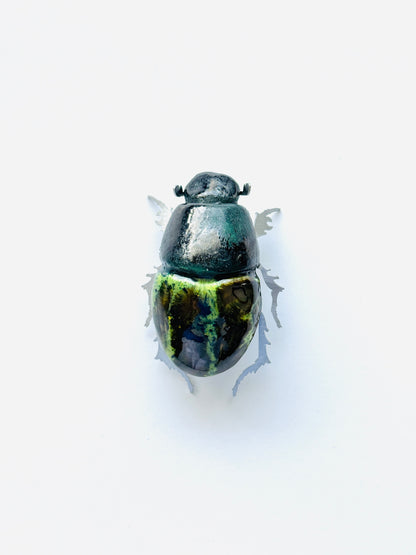 Beetles