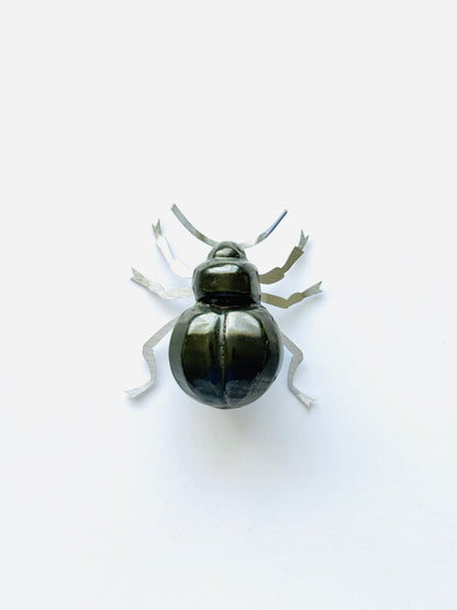 Beetles