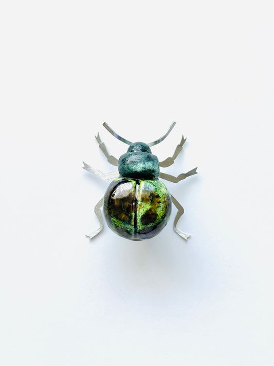 Beetles for Africa-Green