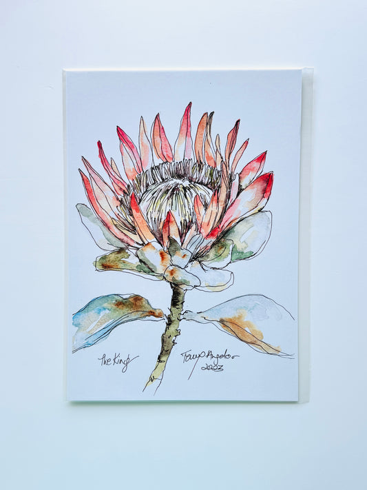 King Protea