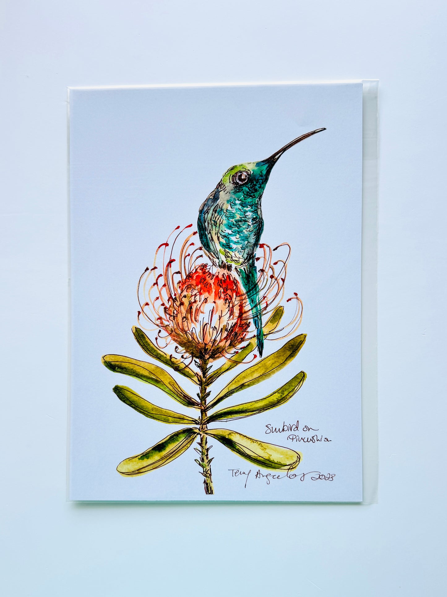 Sunbird on Pincushion
