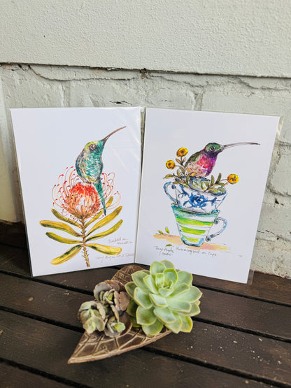 Humming bird in Cups