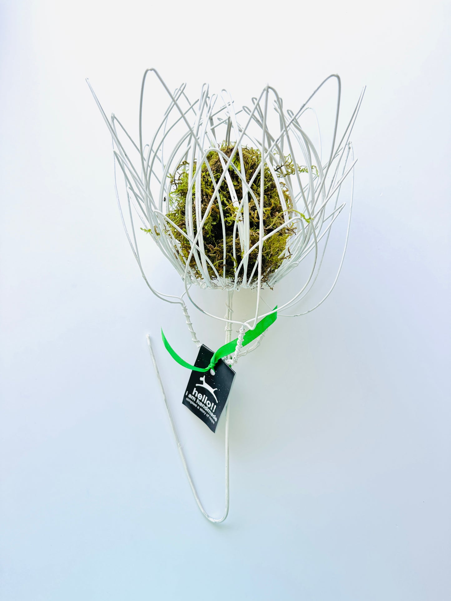 Wire King Protea-King Protea