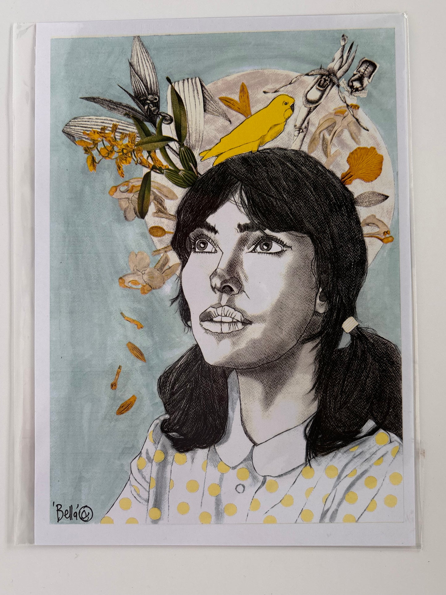 Bella-My Yellow Budgie