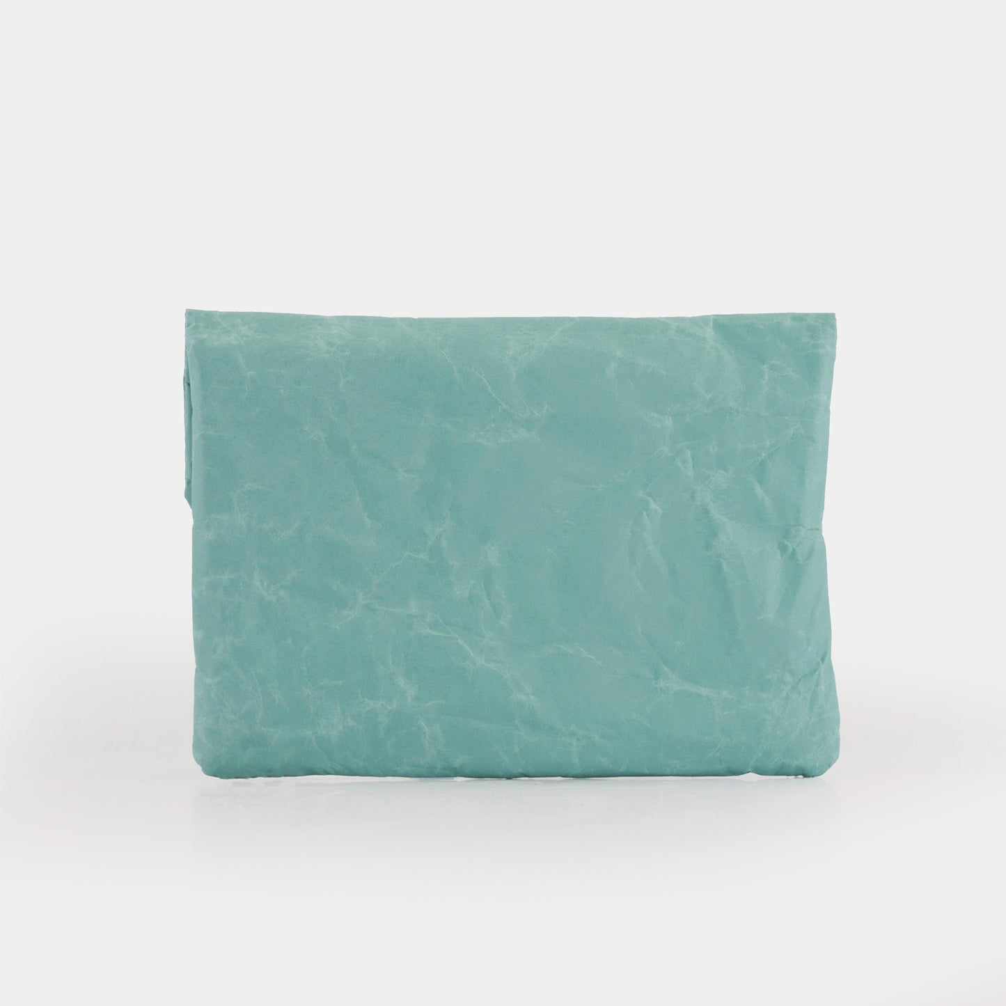 TheWren Mini Sleeve-Aqua