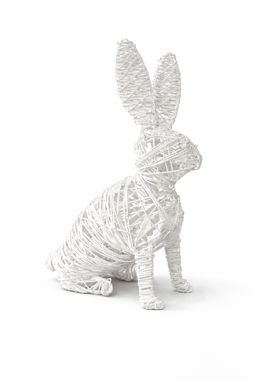 Rufus the Bunny
