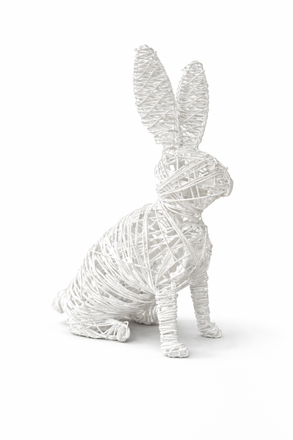 Rufus the Bunny