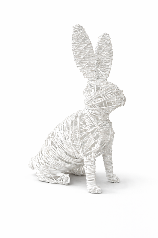 Rufus the Bunny