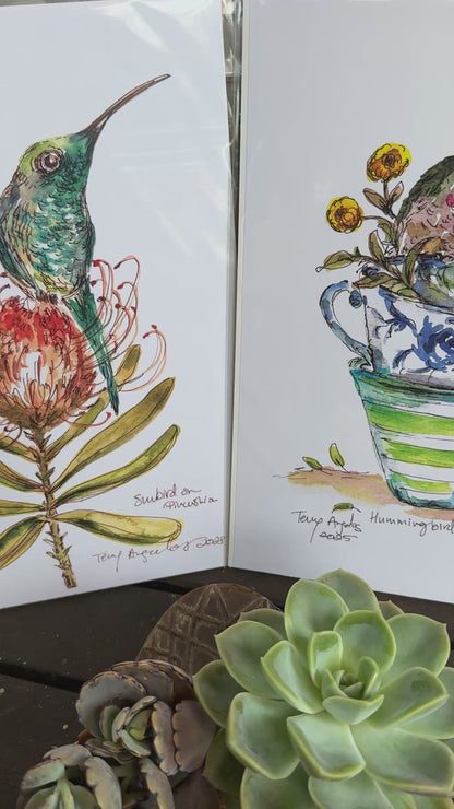 Humming bird in Cups